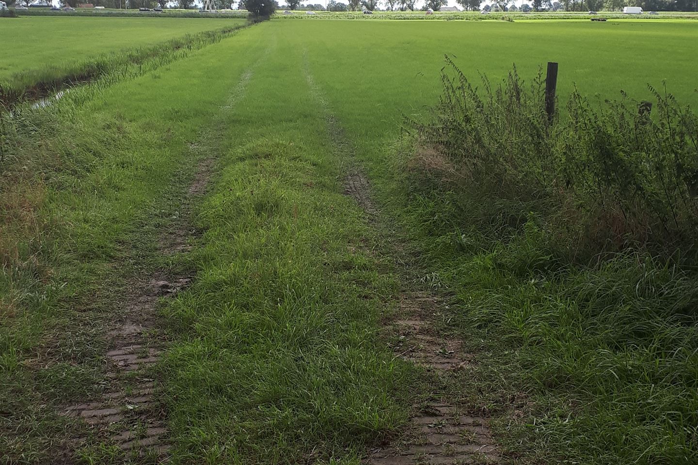 Bekijk foto 4 van Groenendaal