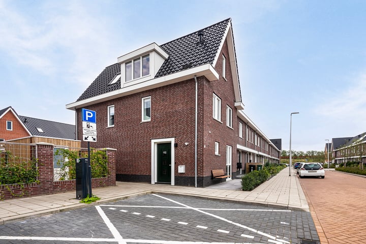 View photo 30 of Maria van Oosterwijckstraat 59