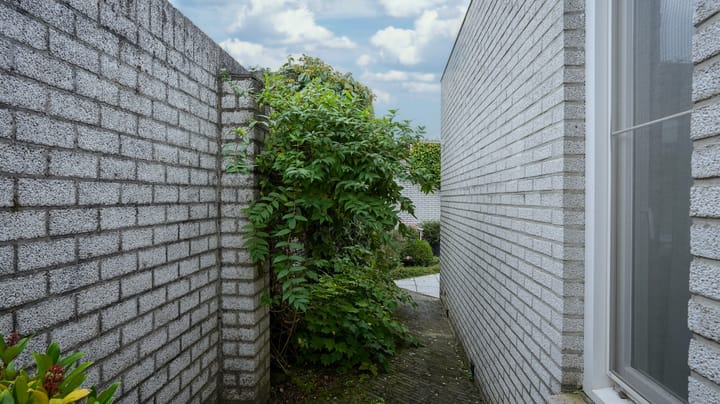 Foto 43 van Loverpad 12