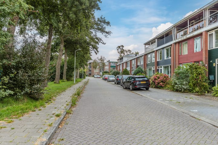 Foto 50 van Ranonkellaan 19