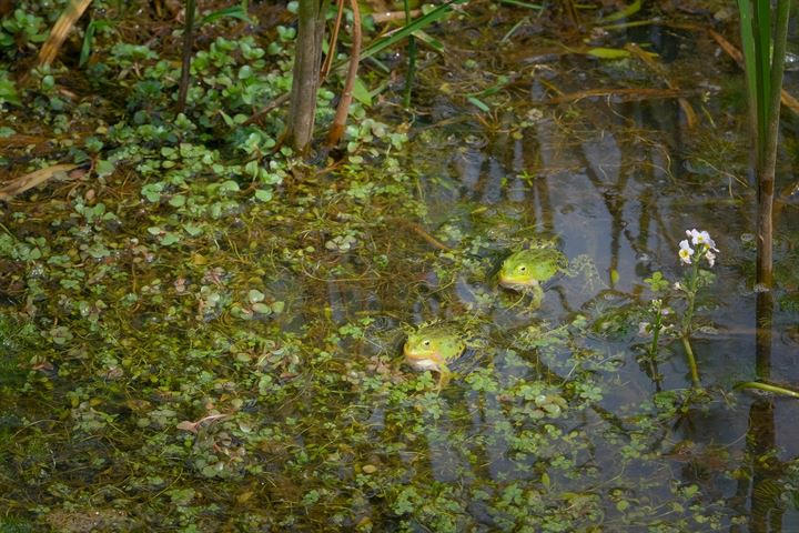 Bekijk foto 16 van Hertmerweg 45