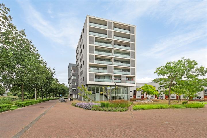 Bekijk foto 30 van Stadskade 356