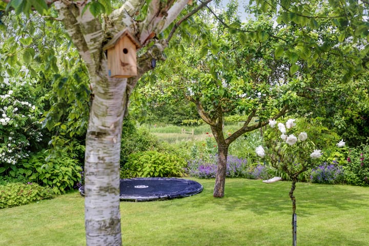 Foto 43 van Titan 43