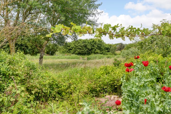 Foto 44 van Titan 43