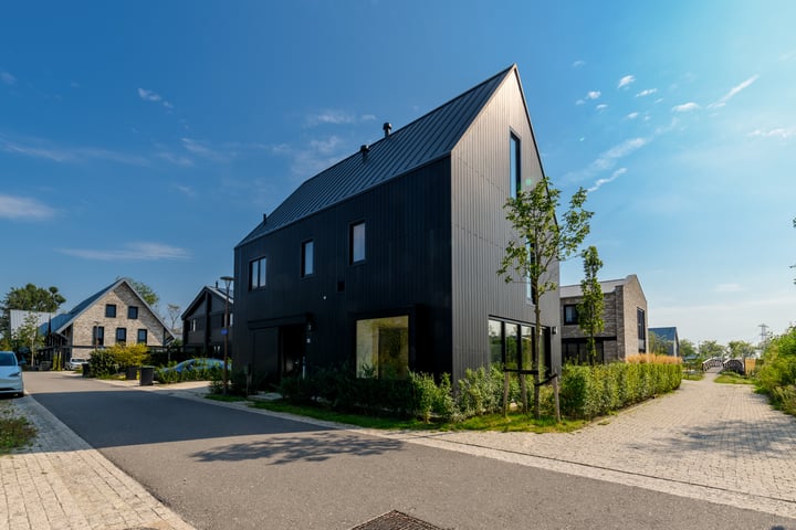 IJsvogel 15