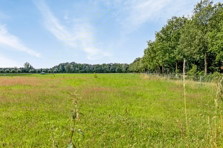 Foto 50 van Het Elferink 2