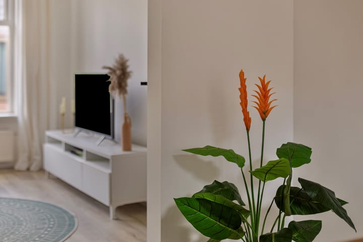 Foto 11 van Helper Westsingel 80-A