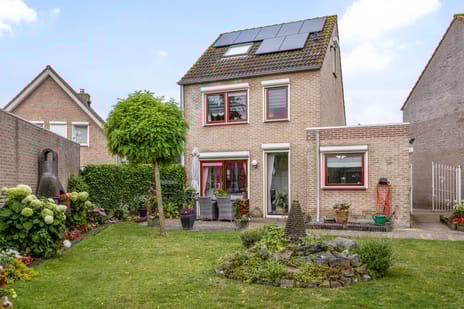 undefined main image