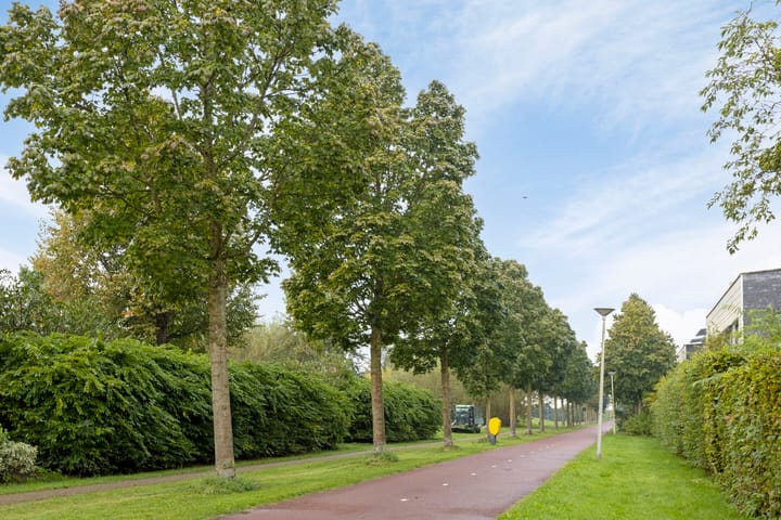 Foto 35 van Mackaystraat 16