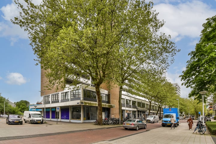 Bekijk foto 18 van Rijswijkstraat 147-A