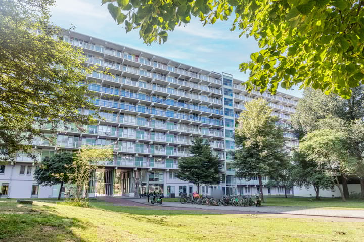 Foto 3 van Hogevecht 225