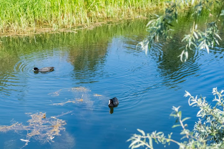 Foto 45 van Simon Carmiggeltstraat 79