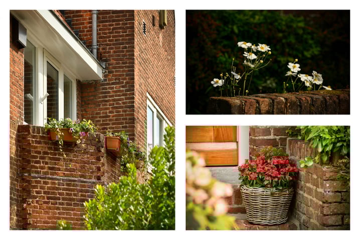 Foto 27 van Catharina van Clevelaan 24