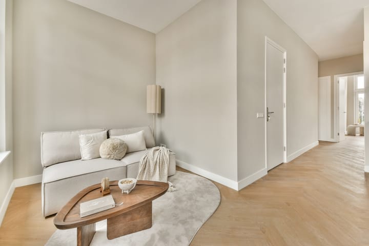 Foto 4 van Ferdinand Bolstraat 28-C