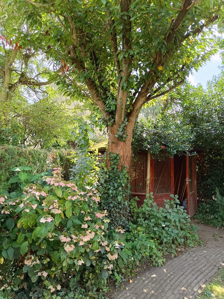 Photo 41 of Vierschaarserf 3