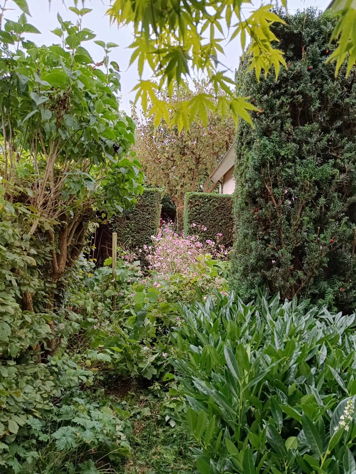 Photo 43 of Vierschaarserf 3