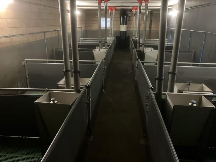 Foto 4 van Katsberg 3