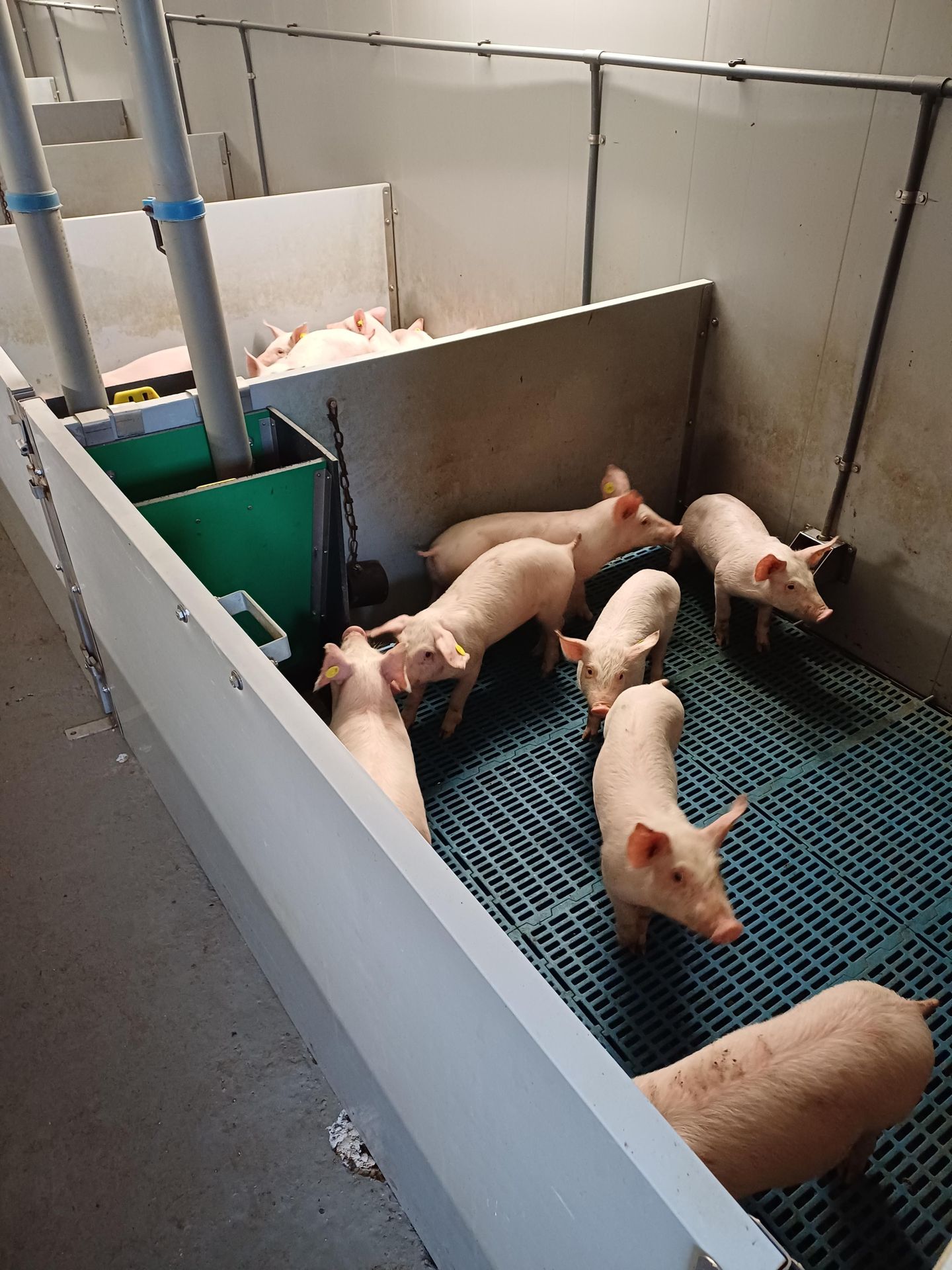 Foto 5 van Katsberg 3