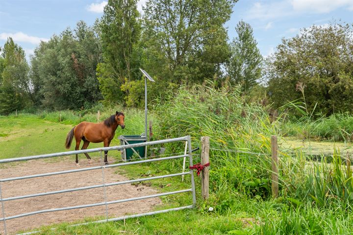 Bekijk foto 50 van Zuurbes 5