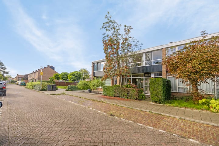 Foto 37 van Frans Halsstraat 11