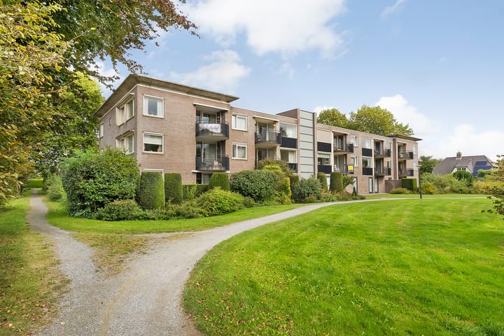 Foto 2 van Hondsroos 10