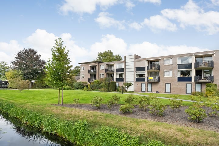 Foto 3 van Hondsroos 10