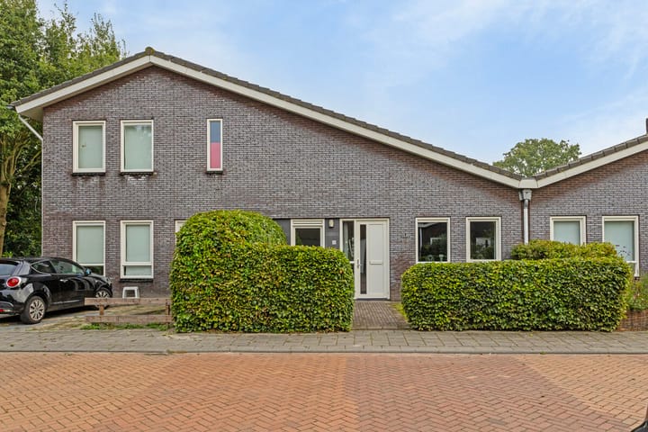 undefined main image