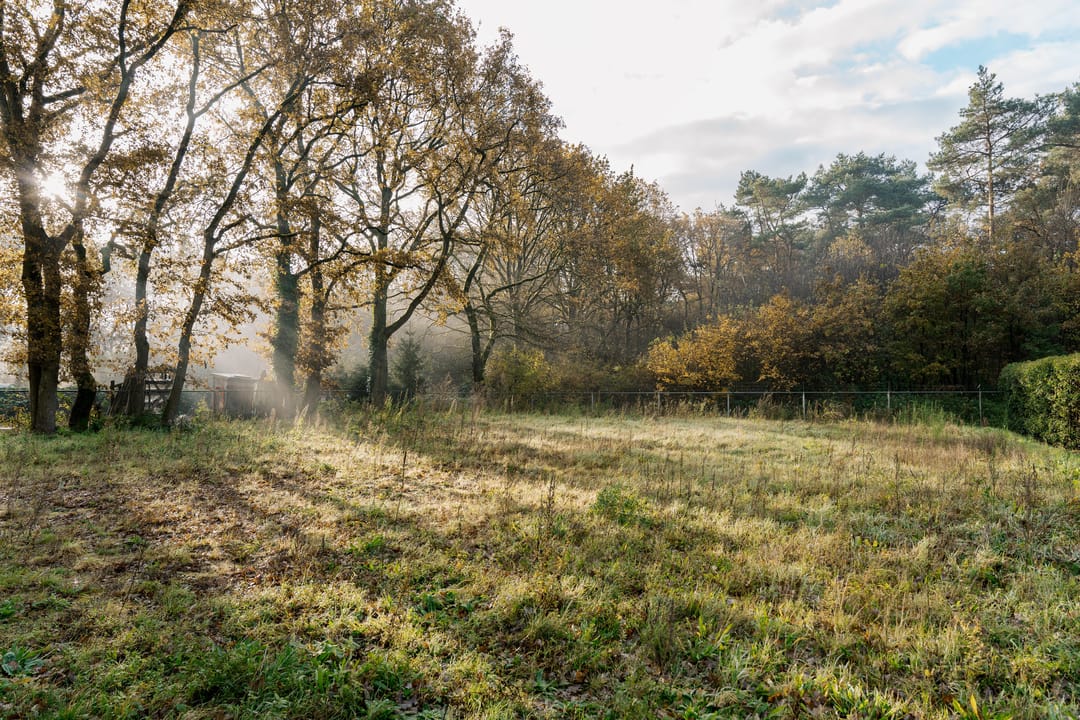 Foto 1 van Van Erven Dorenspark naast 10