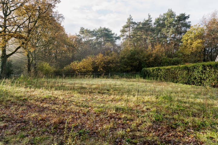 Photo 2 of Van Erven Dorenspark naast 10