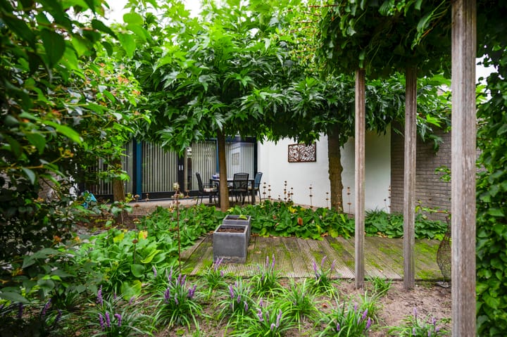 Foto 34 van Lemmenhoek 5