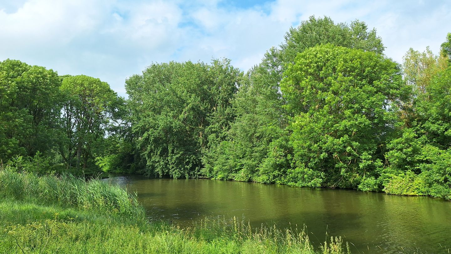 Photo 40 of Populierenlaan 111