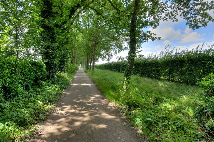 Foto 74 van Moerdijkse Postbaan 10