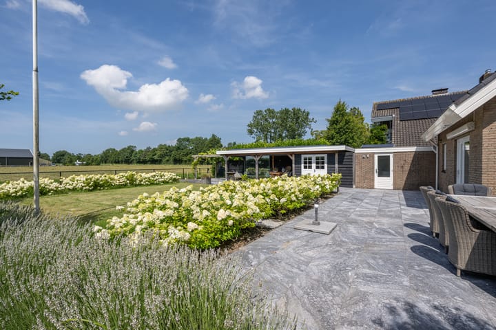 Foto 45 van Kluut 46