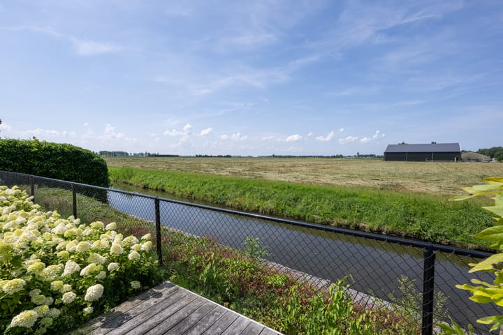 Foto 46 van Kluut 46