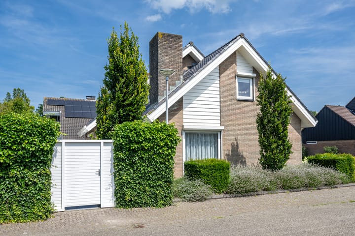 Foto 47 van Kluut 46