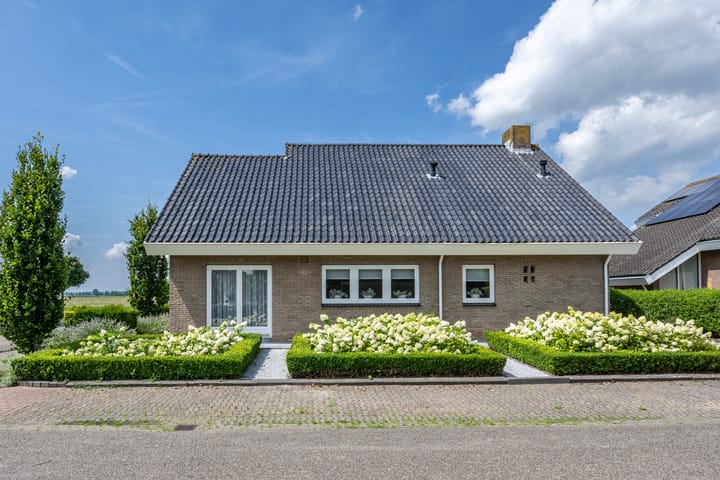 Foto 51 van Kluut 46