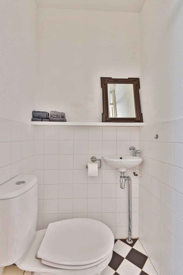 Foto 16 van Waterviolier 196