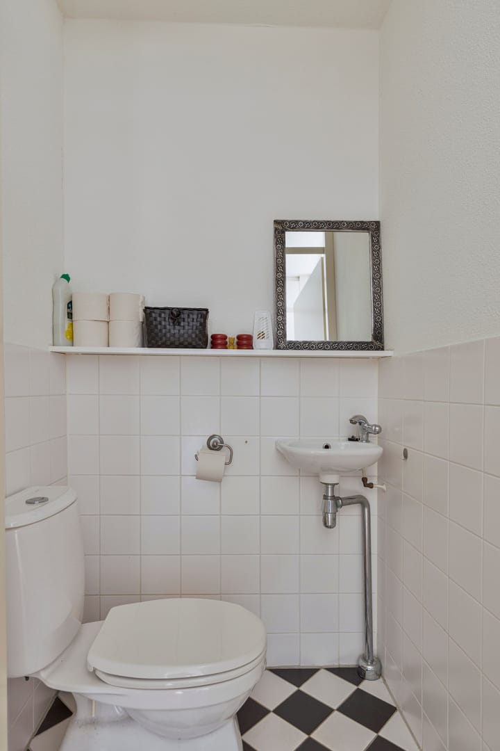 Foto 35 van Waterviolier 196