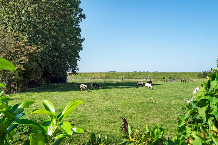 Bekijk foto 34 van Meester Visserstraat 5