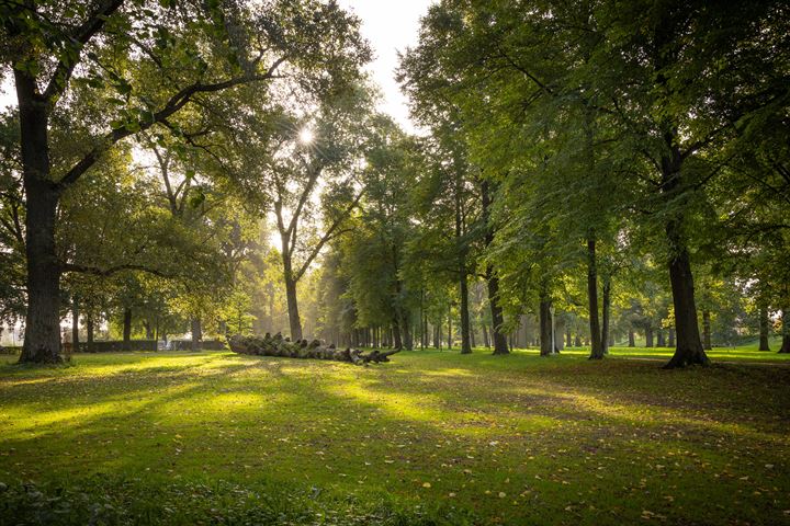 Bekijk foto 48 van Langestraat 53