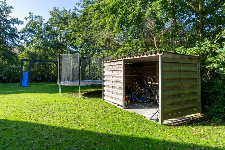 Foto 5 van Strandloperspoor 232