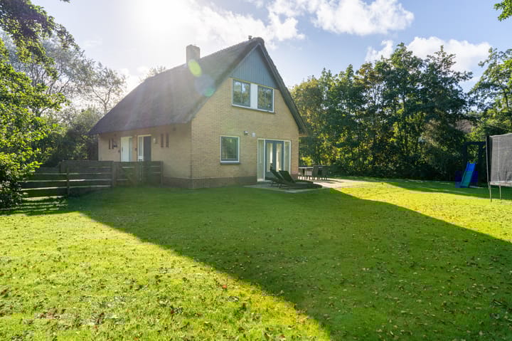 Foto 6 van Strandloperspoor 232