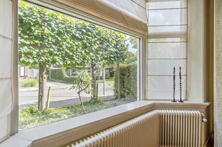 Foto 19 van Meidoornlaan 4