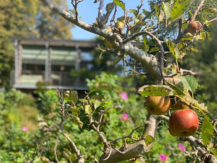 Photo 55 of Duinweg 52