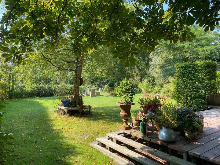 Photo 62 of Duinweg 52