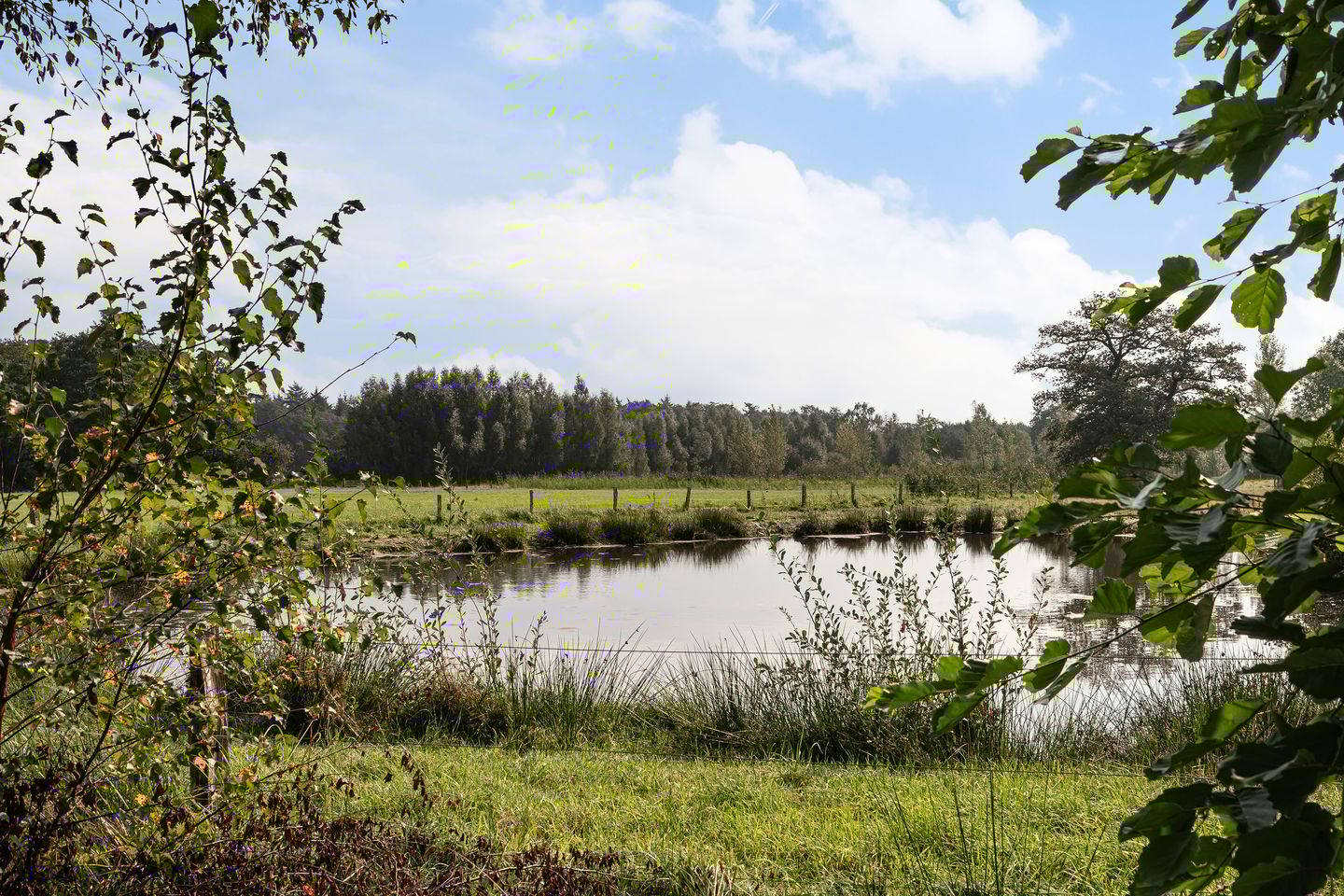 Photo 55 of Kasteelstraat 3