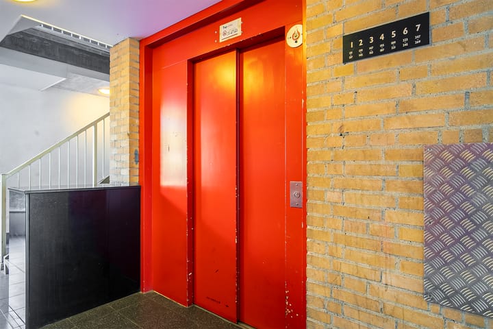 Foto 8 van Schapendreef 205