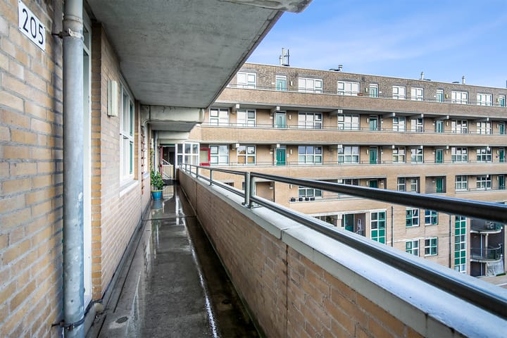 Foto 10 van Schapendreef 205