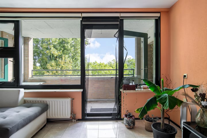 Foto 14 van Schapendreef 205