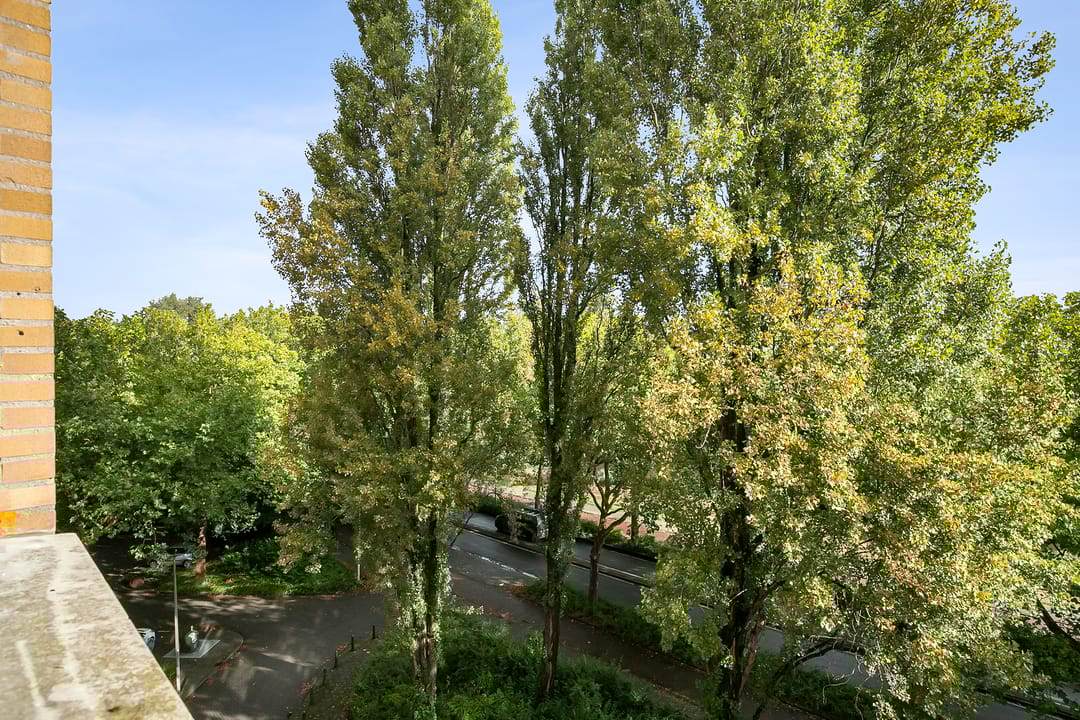 Foto 22 van Schapendreef 205